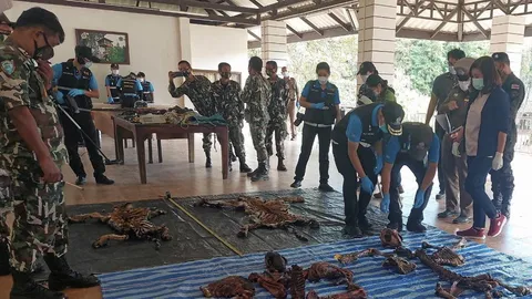 แก๊งพรานทมิฬ