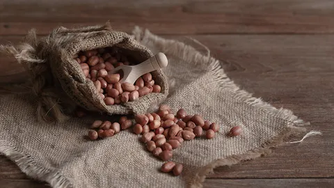 เล่นเบี้ยเสียถั่ว