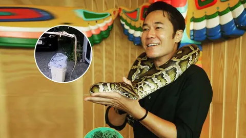 โจ๊กเกอร์ โชว์ลีลาจับงูหลังเลื้อยเข้าบ้าน ชาวเน็ตส่องเลขเด็ด (คลิป)