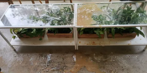 ถึงลูกค้าที่รัก คาเฟ่ดังเผยวีรกรรมลูกค้า พีกสุด สาดกาแฟใส่ เพราะถ่ายรูปไม่สวย