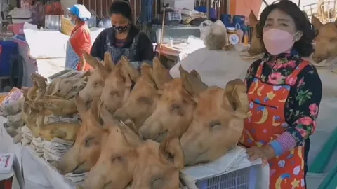 แม่ค้าครวญ หัวหมูไหว้เจ้า แพงสุดรอบ 50 ปี หลังตรุษจีนอาจเลิกขาย (คลิป)