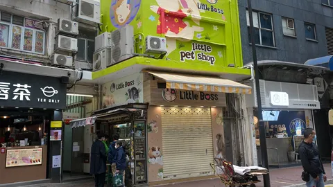 ชาวฮ่องกงแห่รับเลี้ยงหนูแฮมสเตอร์ หลังทางการสั่งกำจัดป้องกันโควิดระบาด