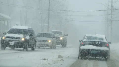 ต้องอาศัยเอลซ่า