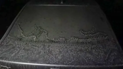 ตะลึงรอยประหลาด-โผล่รอบเก๋ง สาวเชื่อพญานาค เล็งเสี่ยงโชคซื้อหวยทะเบียน (คลิป)