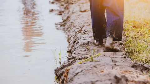 วช.หนุนผลิตสารฆ่าเชื้อก่อโรค “เมลิออยด์” ปนเปื้อนในดิน-น้ำ ติดแล้วตาย