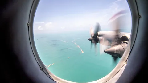 ลดเสียงรบกวนใบพัดที่ได้แรงบันดาลใจจากปีกนกฮูก