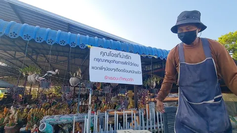 เมืองคอนหนัก โจรตระเวนลักต้นไม้มงคล ร้านค้าต้องรวมหัวขึ้นป้ายขอร้อง