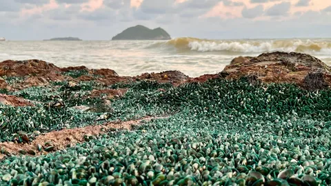 เรื่องธรรมชาติ กองทัพหอยแมลงภู่ แนวโขดหินริมทะเล หาดสมิหลา