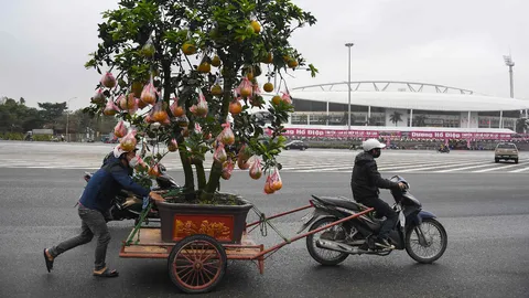 ชาวเวียดนามเตรียมฉลองปีใหม่ ตรุษญวน ท่ามกลาง การเฝ้าระวังโควิด-19