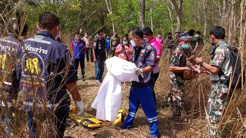 สลด ลุงวัย 67 ออกกรีดยาง ถูกช้างป่ากระทืบร่างเละตายคาที่