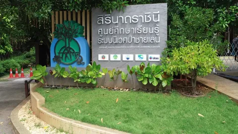 ทช.ร่วม ปตท.เดินหน้า "ศูนย์ศึกษาเรียนรู้ระบบนิเวศป่าชายเลน" จ.ประจวบฯ