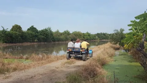 กทม.เตรียมรับมือ "ภัยแล้ง" คาดเริ่มเข้าฤดูร้อนกลาง ก.พ.นี้