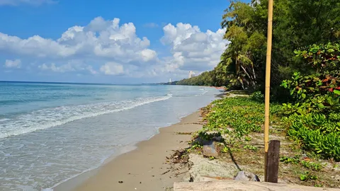 ทะเลระยองยังน่าห่วง ชาวประมงหากินไม่ได้ บุ๋ม ปนัดดา เผยดำน้ำเจอก้อนน้ำมัน