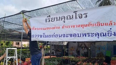 เกินจะทน ร้านต้นไม้เมืองคอน โดนโจรลักไม้มงคลรวม 10 ครั้ง ยังจับไม่ได้ (คลิป)