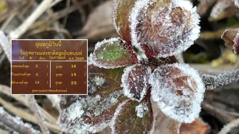 ฝนหยุดตก "ดอยอินทนนท์" กลับมาหนาว 5 องศาฯ เหมยขาบโผล่ครั้งที่ 26 (คลิป)