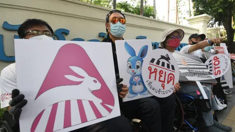 เปิดสัญลักษณ์ RABBIT CROSSING รำลึกถึงหมอกระต่าย เตือนคนให้มีจิตสำนึกทางม้าลาย