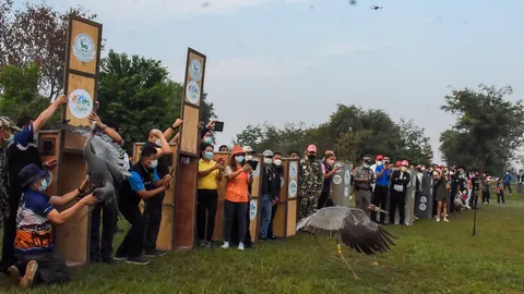 ปล่อยนกกระเรียนพันธุ์ไทย 11 ตัวคืนธรรมชาติ ที่อ่างเก็บน้ำห้วยจระเข้มาก (คลิป)