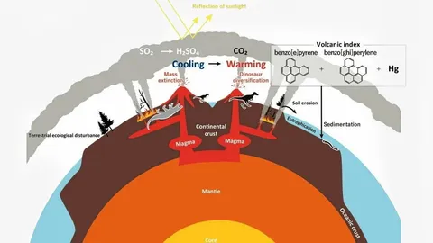 นักวิทยาศาสตร์ศึกษาผลจากการสูญพันธุ์ครั้งใหญ่ครั้งที่ 4