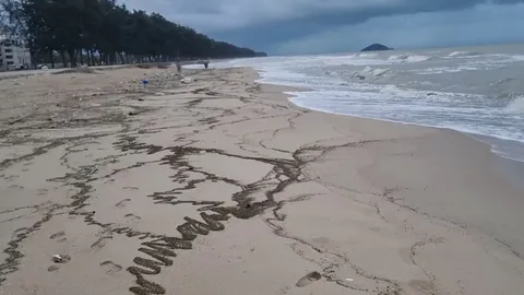 หินภูเขาไฟยังถูกคลื่นซัดเกยหาดสงขลาหลายจุด ชาวบ้านเริ่มโกยไปปลูกต้นไม้