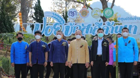 "กรมข้าว"ดัน เกษตรกรแปลงใหญ่ปลูก "ข้าวสาลี" หลังความนิยมพุ่ง