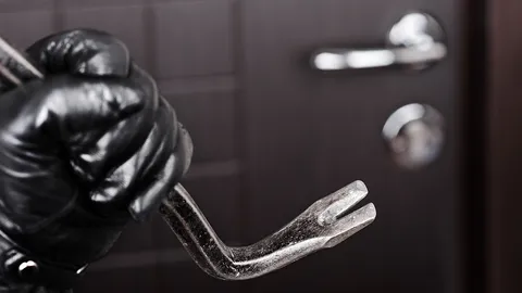 ตีนแมวลักทรัพย์ห้าง