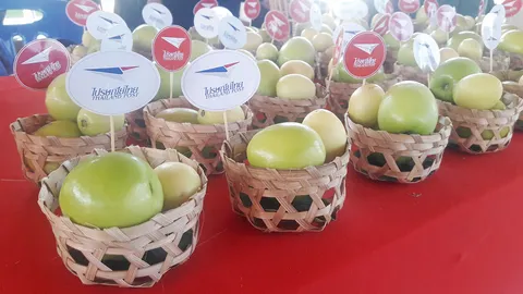 “พุทรานมสด” ผ่านไปรษณีย์ไทย สั่งได้แล้ว ที่ “ไทยแลนด์โพสต์มาร์ท”