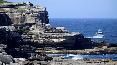 ซิดนีย์สั่งปิดหาด ตามล่าฉลามขย้ำกินคน ดับสะเทือนขวัญ ครั้งแรกในรอบ 60 ปี