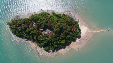 กรมที่ดิน เพิกถอนโฉนด "เกาะนุ้ยนอก" พร้อมเดินหน้าเอาผิดขบวนการฮุบเกาะ