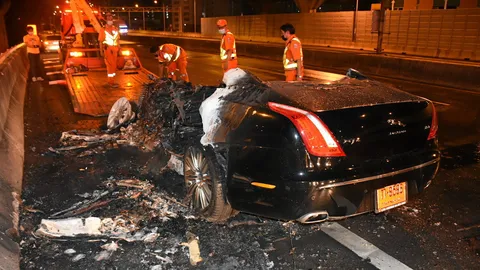 ไหม้จากัวร์