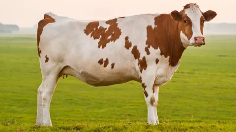 เห็นแล้วไม่สบอารมณ์