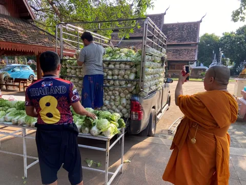 นักธุรกิจสาวไทยในสิงคโปร์ใจดี เหมาผักกาดชาวสวนบนดอย 5 ตัน มาแจกชาวบ้าน