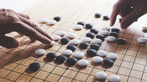 ปรัชญาหมากล้อม