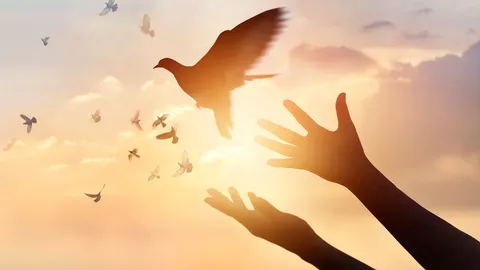 เปิดความหมาย "The truth will set you free" มีที่มาจากไหน?