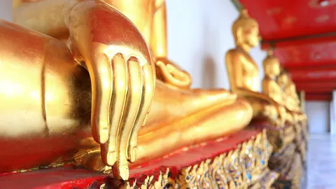 เวลาของฟองน้ำ