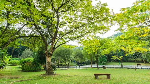 เปิดสวนสาธารณะอีก 9 แห่ง ภายในปี 65-กทม.ร่วมภาคเอกชนและภาคีเครือข่าย