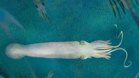 พบฟอสซิลเครือญาติปลาหมึกโบราณชนิดใหม่