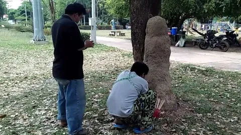 ส่อง "เลขเด็ด" จอมปลวกคล้ายศิวลึงค์ จุดธูปเสี่ยงทาย บังเอิญเลขเดียวกัน