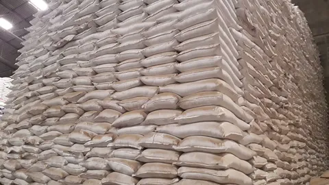 ไทยเผชิญหน้าเศรษฐกิจถดถอย หวั่นปุ๋ยแพงทำอาหารโลกขาดแคลน