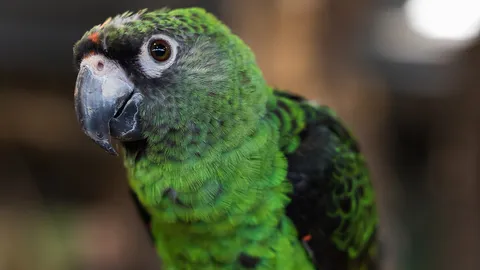 ถึงจะปลอมเราก็จะรัก