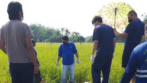 หญิงเพชรบูรณ์วัย 52 ปีถูกไฟช็อตตายคาทุ่งนาพร้อมสุนัข 2 ตัว ขณะเข้าไปช่วย