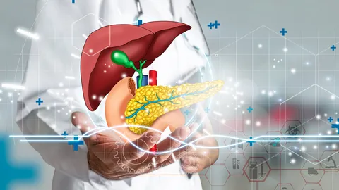 พบเซลล์ในตับอ่อน “รีโปรแกรม” เพื่อยับยั้งโรคต่อต้านภูมิตัวเอง