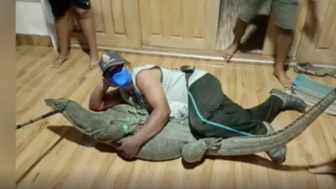 เห้ยักษ์มาเยี่ยม หนัก 100 โล นอนขวางประตูบ้าน คอหวยยิ้มหวาน (คลิป)