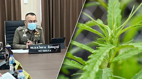 ผบช.ภ.4 เรียกคุยแล้ว ชุดจับกัญชา 1 ต้น ให้นโยบายผกก. กำชับใช้วิจารณญาณ