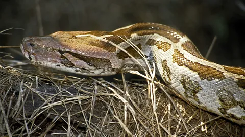 อย่าทิ้งเรี่ยราด