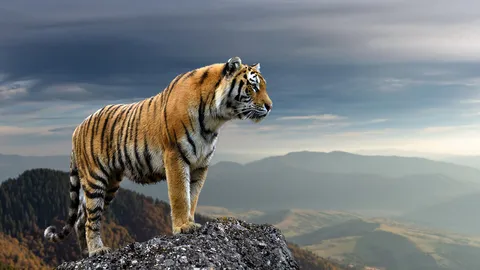 จับเสือหลุด