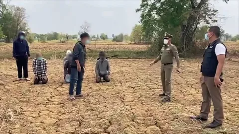 รับน้องโหด