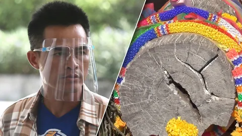 คุก 4 เดือน ปรับ 6,666.66 บาท ลุงพล ครอบครองไม้มะค่าแต้ ได้รอลงอาญา 1 ปี
