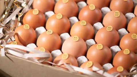 GFPT ส่งไข่ไก่ปลอดสารเคมี และฮอร์โมน เจาะตลาดกลุ่มพรีเมียม คนรักสุขภาพ