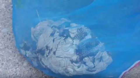 "ฝูงต่อดุ" ฮือแตกรัง รุมต่อยแม่เฒ่าวัย 90 ฟุบข้างรั้วสุดทรมาน-สาหัส 