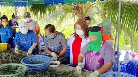 "เศรษฐกิจไทย" ฟังปัญหาเจ้าของฟาร์มกุ้ง ชี้คนจับ-คัด เป็นฟันเฟืองในระบบ